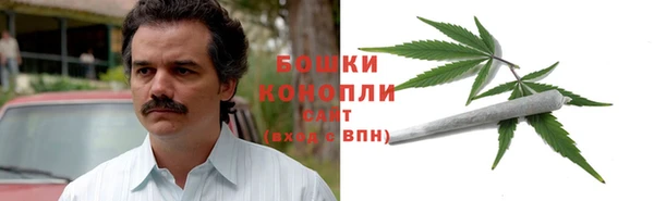 mdpv Медвежьегорск