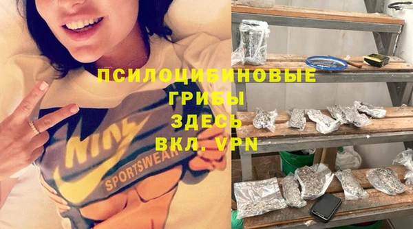 альфа пвп Медногорск