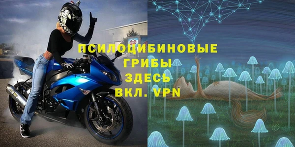 mdpv Медвежьегорск