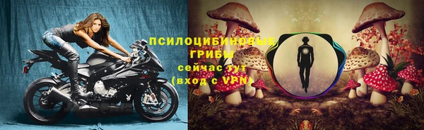 винт Михайловск