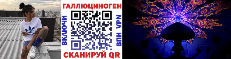 МЕГА онион  Чита  Псилоцибиновые грибы Psilocybe 