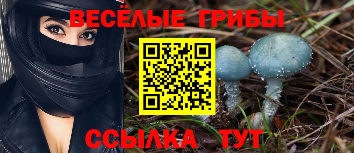 закладки  Чита  Галлюциногенные грибы мухоморы 